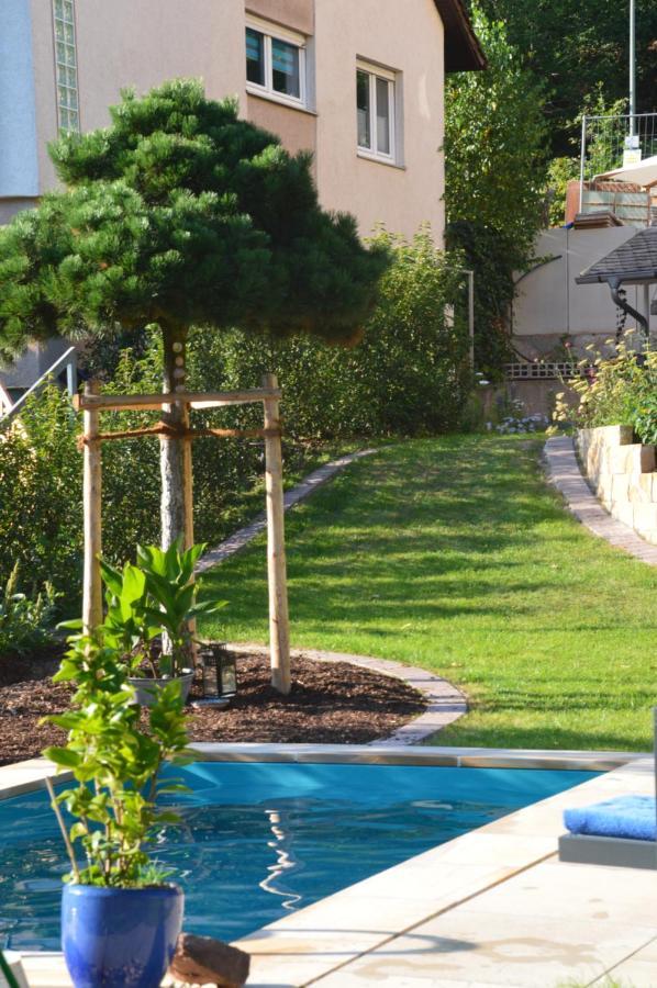 Annettes Pfalz Hinterweidenthal Εξωτερικό φωτογραφία